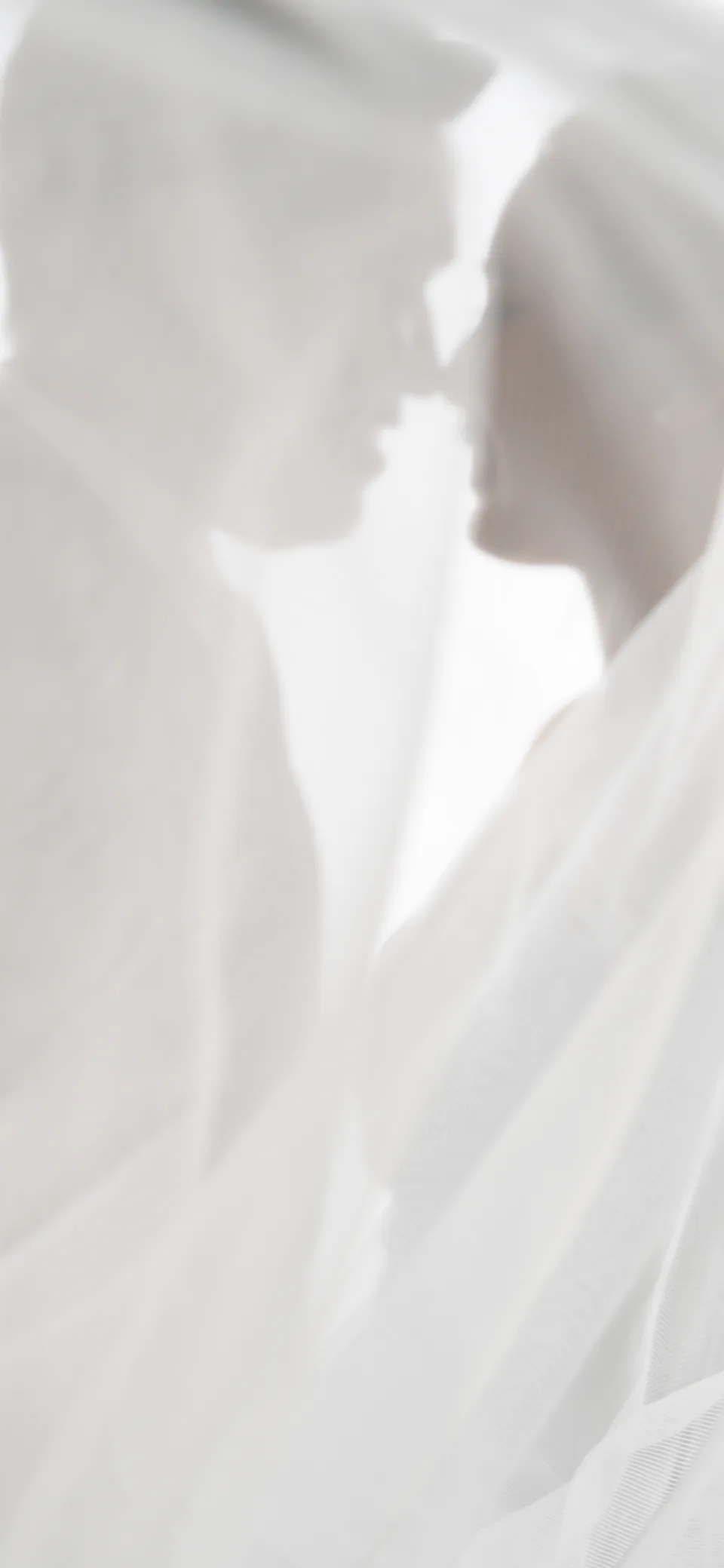 ภาพพรีเวดดิ้ง: เจ้าบ่าวและเจ้าสาวใต้ผ้า veil ขาวนุ่ม